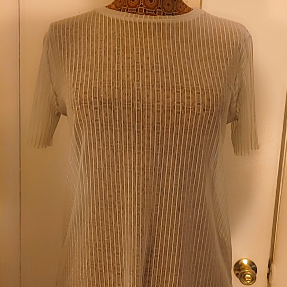 See thru Zara